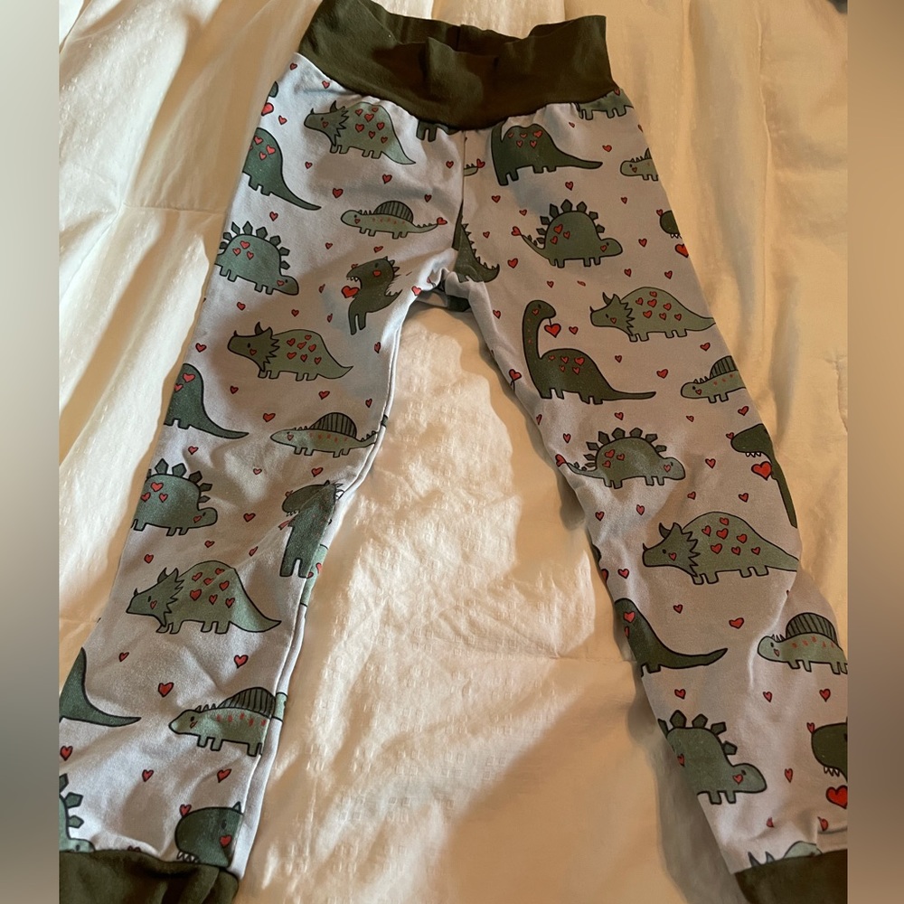 Patch of Roses 3T Dino Heart Pale and Olive Green Leggings EUC